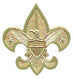 Tiger Cubs Sponsored by the Boy Scouts of America (BSA).