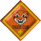 Grrrrr! Go Pack 191 Tiger Cubs!